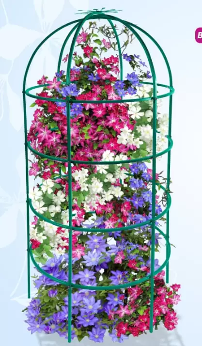 Опора для клематисов и плетистых роз