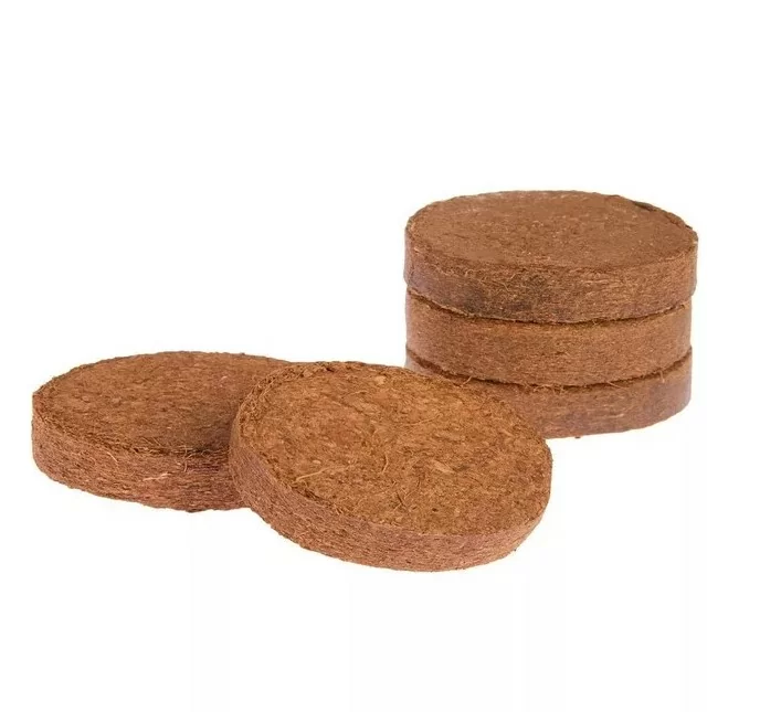 Диски орехнина