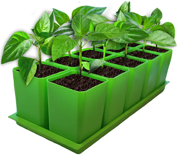 Набор горшков для рассады (10 шт) (0,75 л. (10 шт/упак) Цвет Зеленый, арт.941074 (с6/п6).)