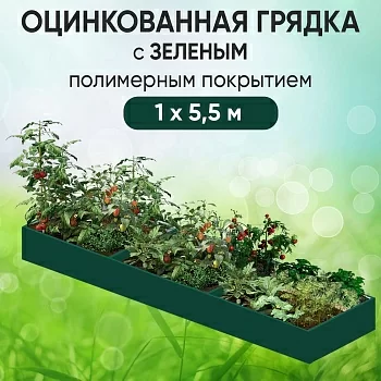 Грядка зеленая (1 х 5,5)