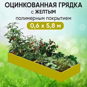Грядка желтая (0,6 х 5,8)