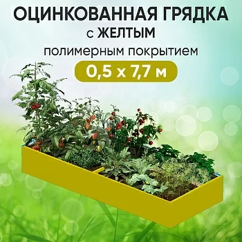 Грядка желтая (0,5 х 7,7)